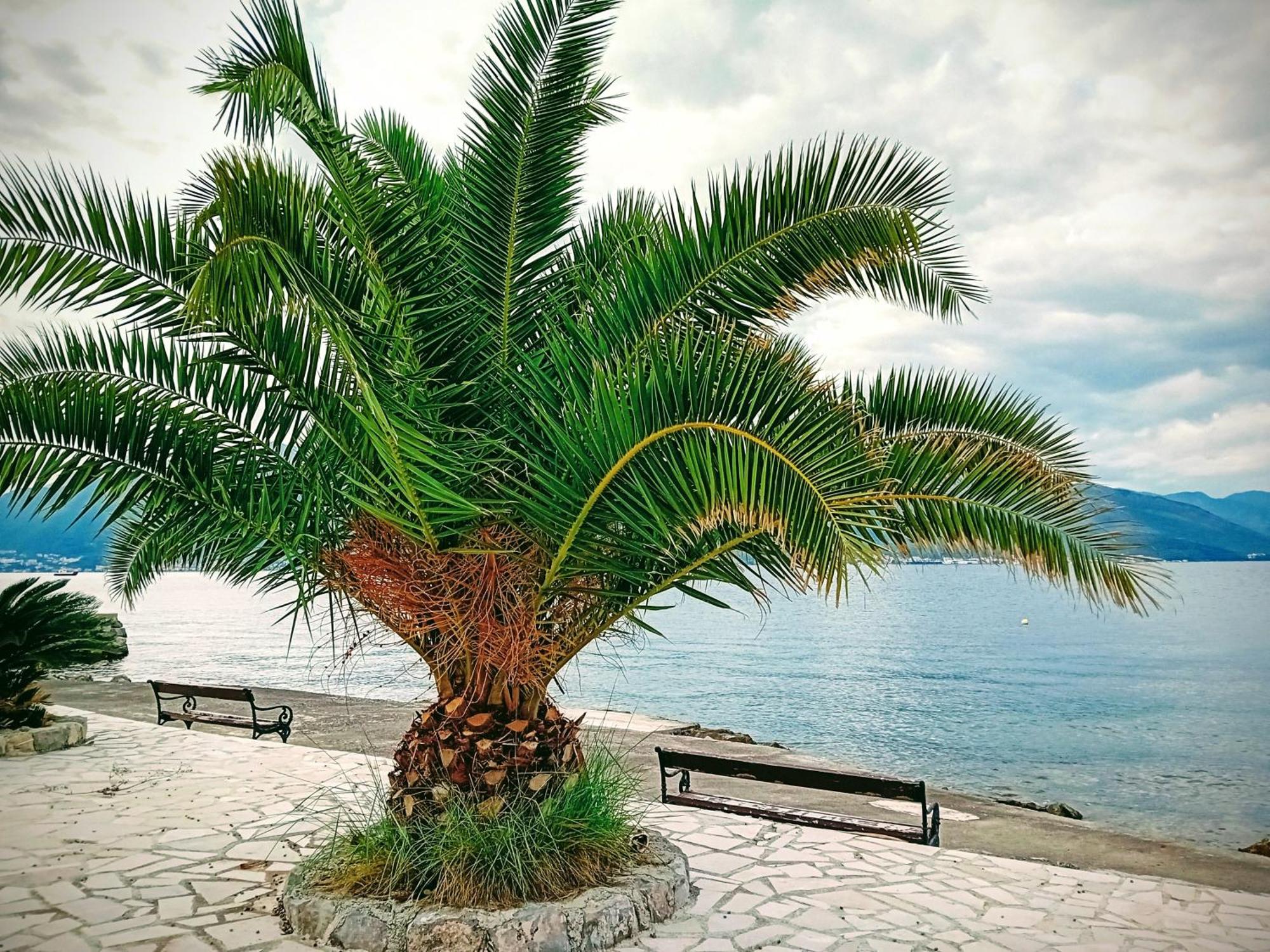 Studio Happy Montenegro Krasići Екстериор снимка